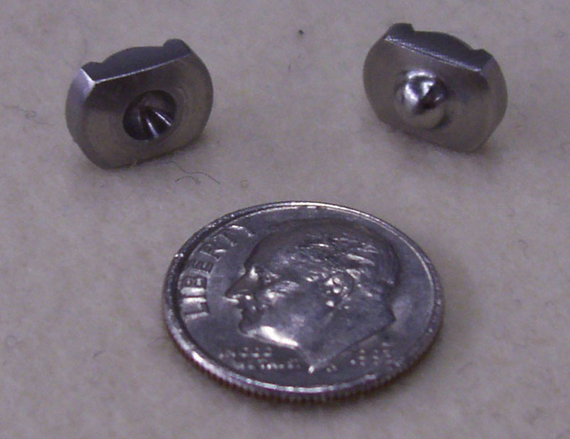 Dog Vertebra-Veterinary Medicine nitronic 60
