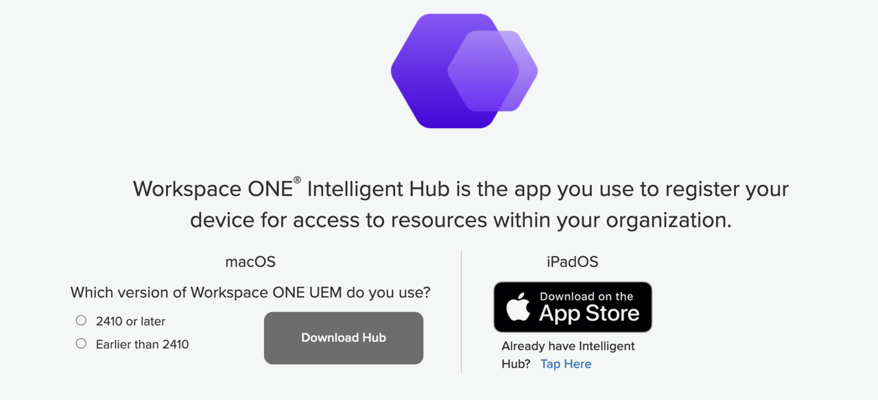 choose workspace one version